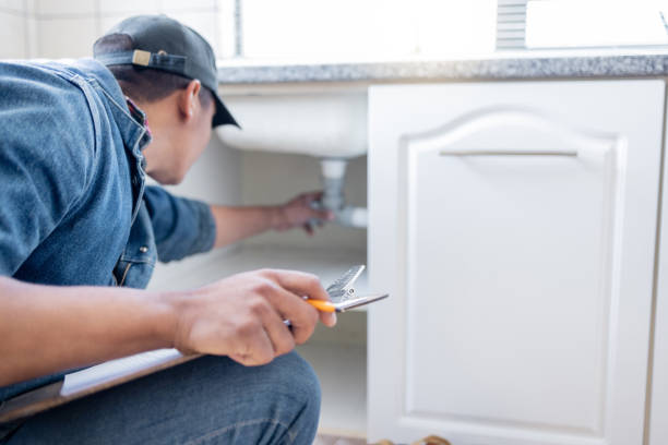 Best Plumbing Services Near Me  in South Pasadena, FL