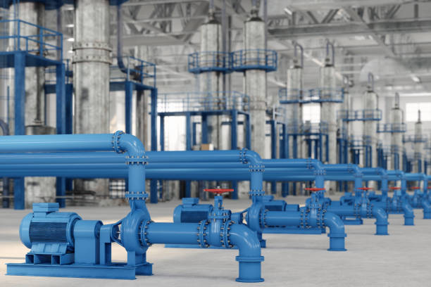 Best Sewer Line Repair  in South Pasadena, FL