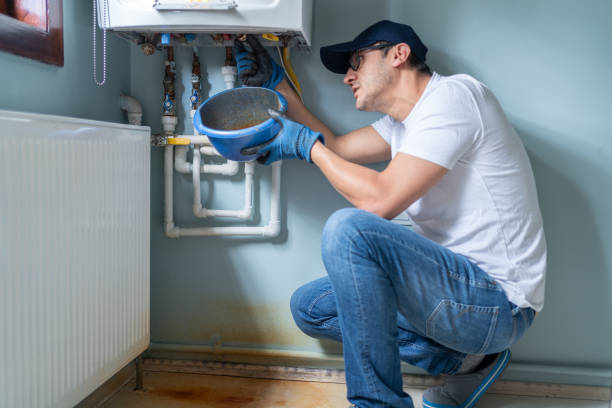 Best Sprinkler Systems  in South Pasadena, FL