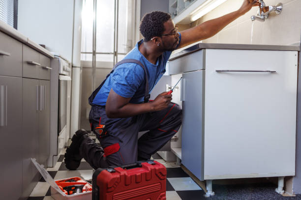 Best Clogged Drain Plumber  in South Pasadena, FL